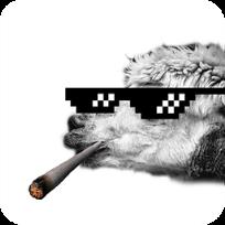 大金链子墨镜雪茄软件