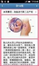 预产期计算器及天数计算时间软件