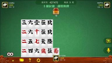 皮皮跑胡子看牌器