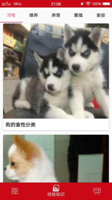 狗狗百科大全app