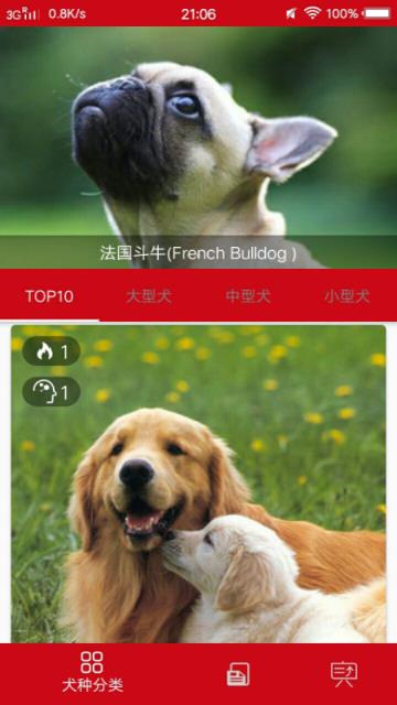 狗狗百科大全app