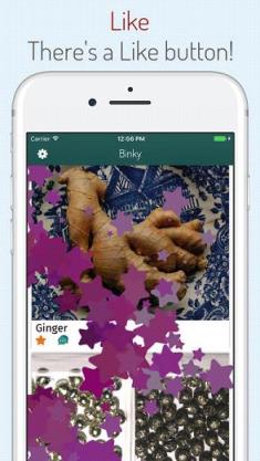 Binky伪社交app安卓版