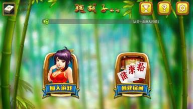 皮皮跑胡子看牌器