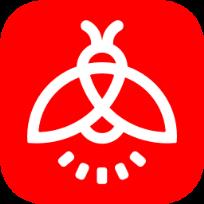 火萤视频壁纸手机版apk