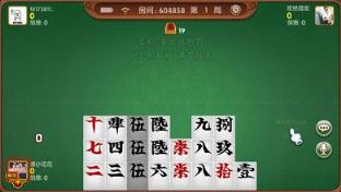 五彩跑胡子作弊器