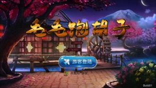 毛毛跑胡子作弊器