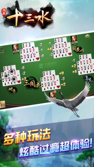 大象十三水作弊器