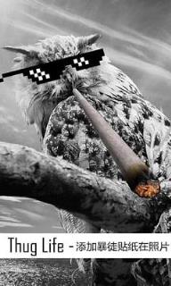 thug life maker中文汉化版(附教程)下载