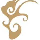 紫峰抢单软件官方版