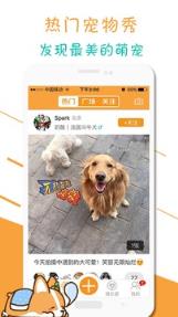 人人宠宠物社区app