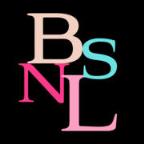 碧斯诺兰双线app免费安装