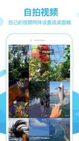 火萤视频壁纸手机版apk