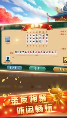 圈子跑胡子作弊器