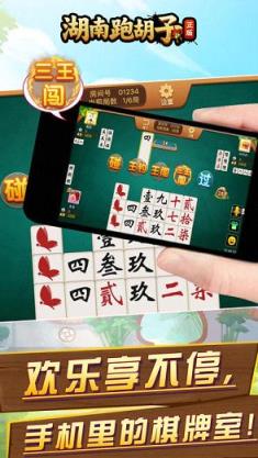 湖南跑胡子正版作弊器