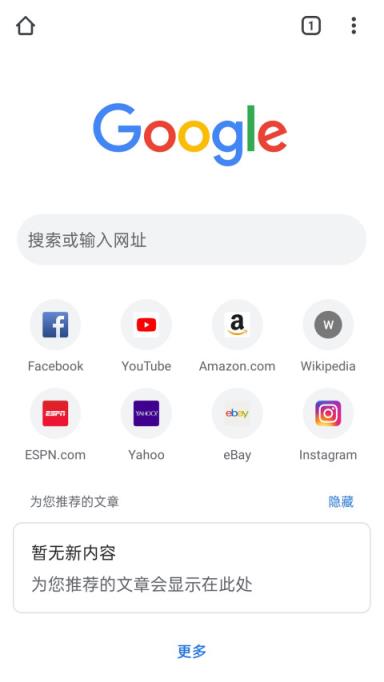 谷歌浏览器手机版中文
