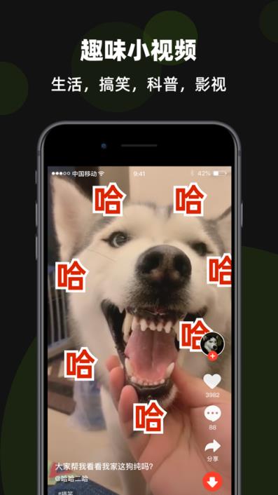 手机版火萤视频壁纸app