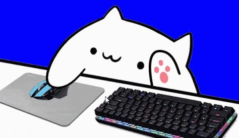 直播猫敲键盘软件
