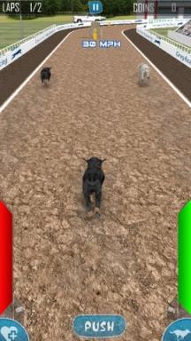赛狗模拟器2020苹果IOS版