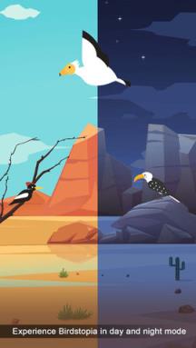 鸟的天堂官方最新版苹果IOS版
