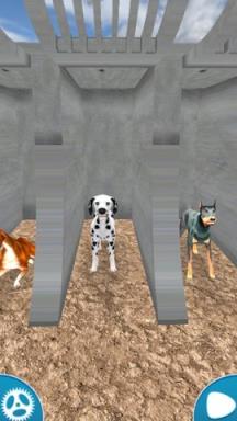 赛狗模拟器2020苹果IOS版
