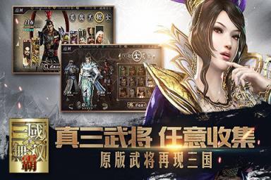 真三国无双霸电脑版
