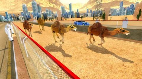 骆驼跑酷模拟器电脑版

