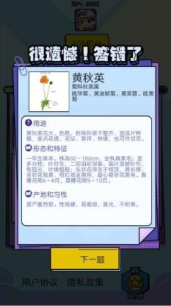 爱上鲜花官方版
