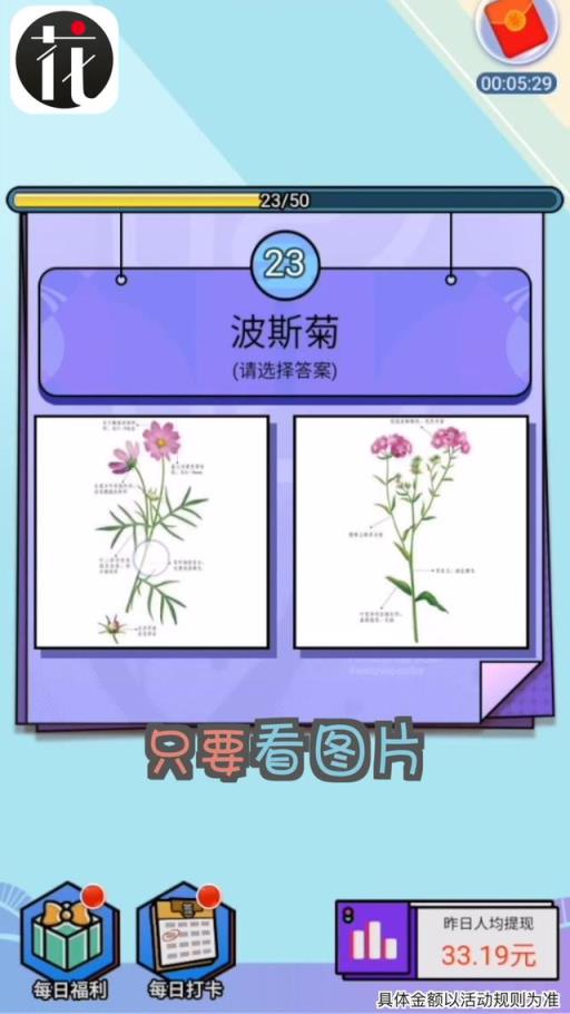 爱上鲜花官方版