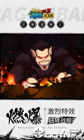 龙珠觉醒online