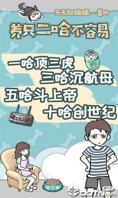 养只二哈不容易