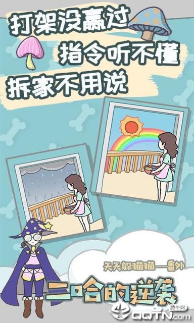 养只二哈不容易