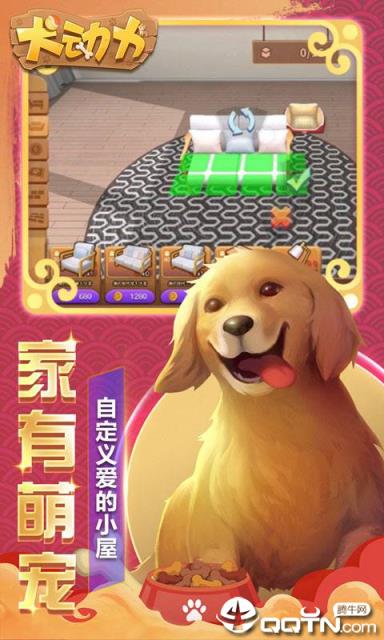 犬动力
