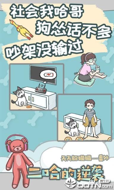 养只二哈不容易