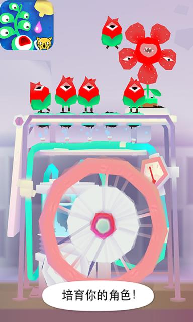 宝宝植物盆栽试验