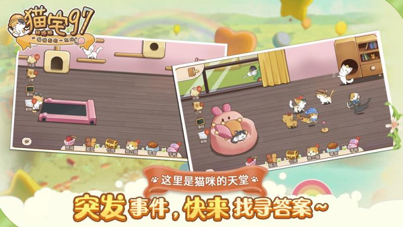 猫猫狗狗一起玩