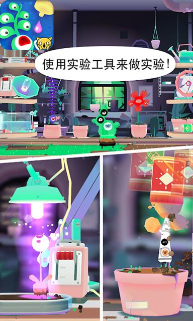 宝宝植物盆栽试验