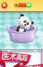 宝宝动物护理学院游戏