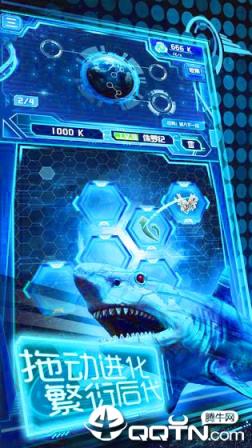 养鲲进化新物种