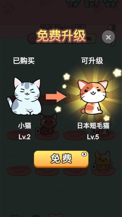 天天撸猫猫游戏
