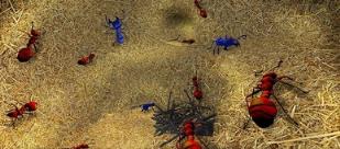 蚂蚁生存模拟器