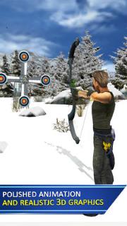 射箭大师冠军赛单机版