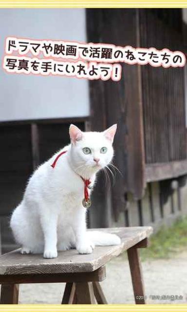 与玉之丞一起手游