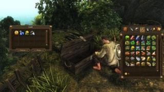 荒岛生存3d中文版