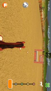 养马竞技队最新版