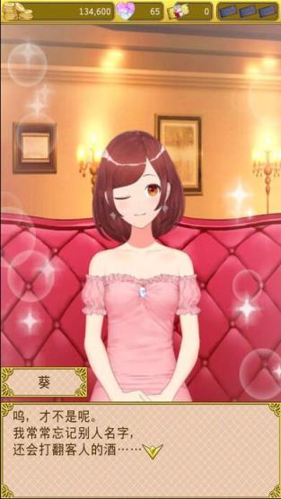 星夜佳人物语3最新版