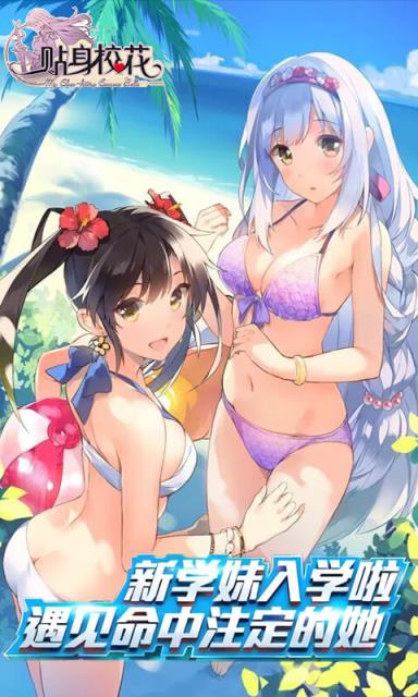 我的贴身校花BT版