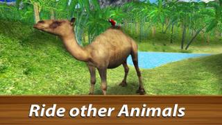 野生鹦鹉生存丛林鸟模拟器