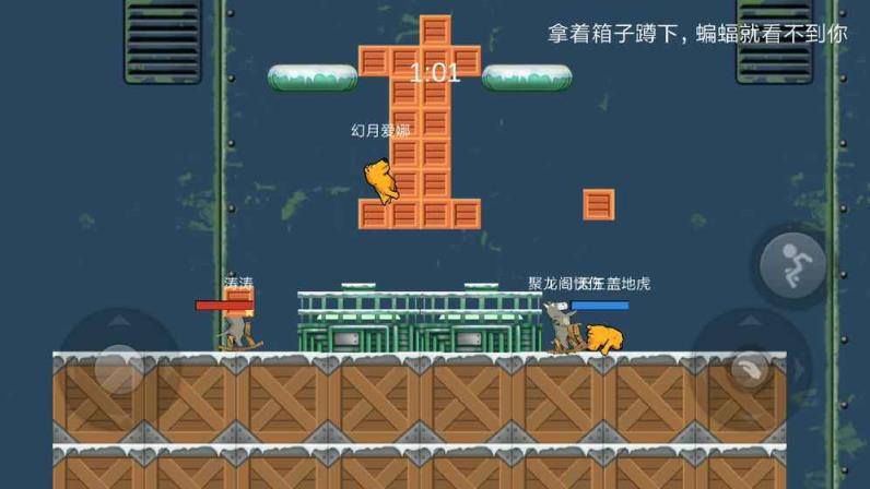 狗熊毛驴大乱斗