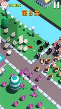 拥挤城市猫猫大作战