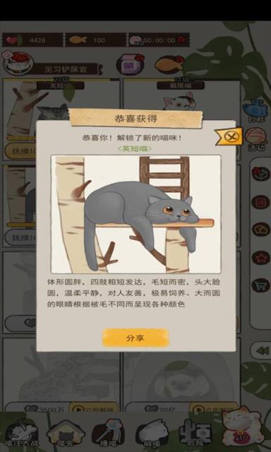 喵大人物语破解版